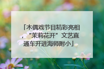 木偶戏节目精彩亮相，“茉莉花开”文艺直通车开进海师附小