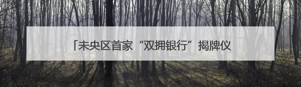 未央区首家“双拥银行”揭牌仪式暨拥军商户法律讲座活动举行