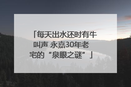 每天出水还时有牛叫声 永嘉30年老宅的“泉眼之谜”