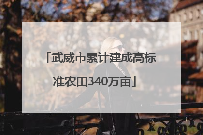 武威市累计建成高标准农田340万亩