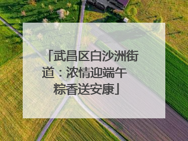 武昌区白沙洲街道：浓情迎端午 粽香送安康