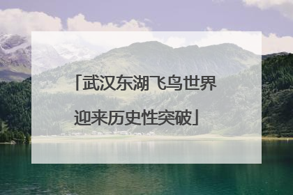 武汉东湖飞鸟世界迎来历史性突破