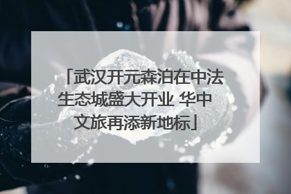 武汉开元森泊在中法生态城盛大开业 华中文旅再添新地标