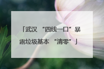 武汉 “四线一口”暴露垃圾基本 “清零”