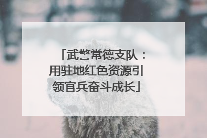 武警常德支队：用驻地红色资源引领官兵奋斗成长