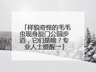 样貌奇怪的毛毛虫现身厦门公园步道，它们是啥？专业人士提醒→