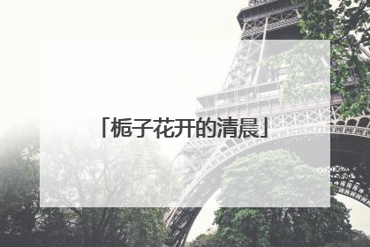 栀子花开的清晨