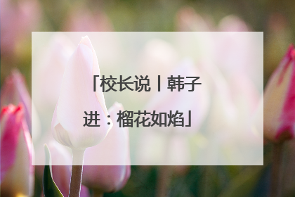 校长说丨韩子进：榴花如焰
