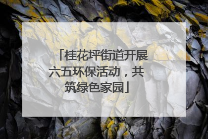 桂花坪街道开展六五环保活动，共筑绿色家园