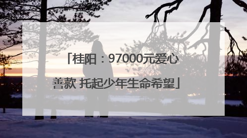 桂阳：97000元爱心善款 托起少年生命希望