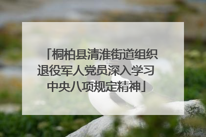 桐柏县清淮街道组织退役军人党员深入学习中央八项规定精神
