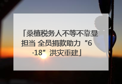 桑植税务人不等不靠显担当 全员捐款助力“6·18”洪灾重建