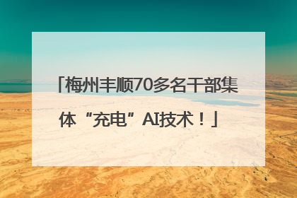 梅州丰顺70多名干部集体“充电”AI技术！
