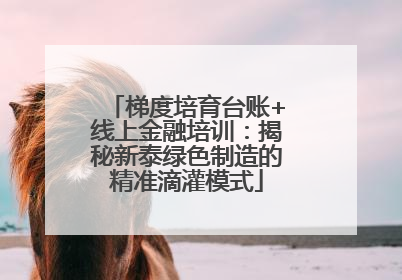 梯度培育台账+线上金融培训：揭秘新泰绿色制造的精准滴灌模式