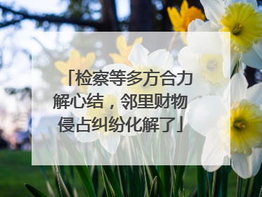检察等多方合力解心结，邻里财物侵占纠纷化解了