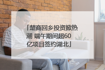 楚商回乡投资掀热潮 端午期间超60亿项目签约湖北