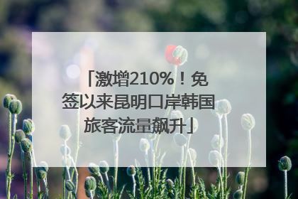 激增210%！免签以来昆明口岸韩国旅客流量飙升