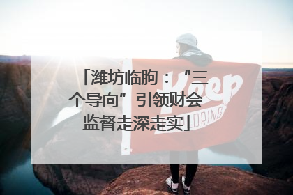 潍坊临朐：“三个导向”引领财会监督走深走实