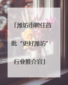 潍坊市聘任首批“更好潍坊”行业推介官
