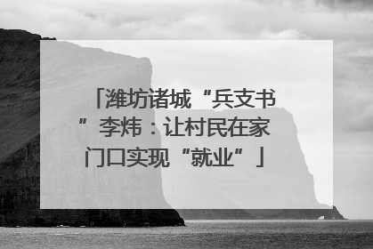 潍坊诸城“兵支书”李炜：让村民在家门口实现“就业”
