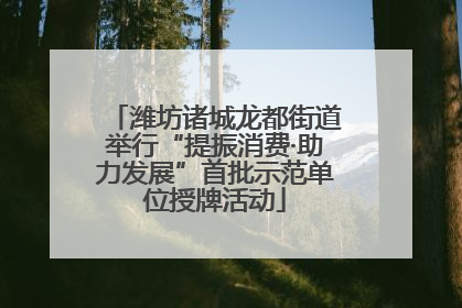 潍坊诸城龙都街道举行“提振消费·助力发展”首批示范单位授牌活动