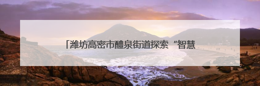潍坊高密市醴泉街道探索“智慧医养进社区” 托起幸福晚年