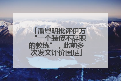 潘粤明批评伊万“一个装傻不辞职的教练”，此前多次发文评价国足