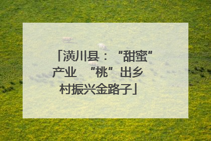 潢川县：“甜蜜”产业  “桃”出乡村振兴金路子