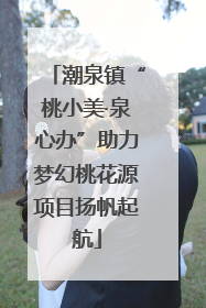 潮泉镇“桃小美·泉心办”助力梦幻桃花源项目扬帆起航
