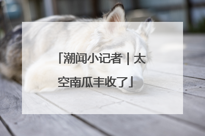 潮闻小记者｜太空南瓜丰收了
