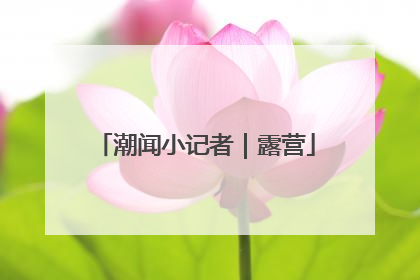 潮闻小记者｜露营