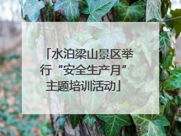 水泊梁山景区举行“安全生产月”主题培训活动