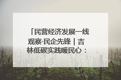 民营经济发展一线观察·民企先锋｜吉林低碳实践暖民心：太阳能供暖技术为北方清洁取暖破局