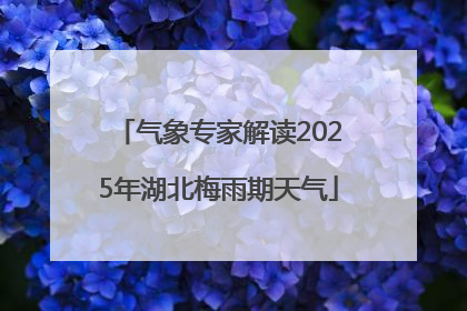 气象专家解读2025年湖北梅雨期天气