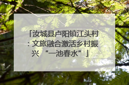 汝城县卢阳镇江头村：文旅融合激活乡村振兴 “一池春水”