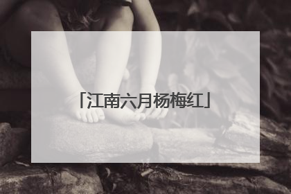 江南六月杨梅红