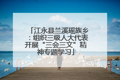 江永县兰溪瑶族乡：组织三级人大代表开展“三会三文”精神专题学习