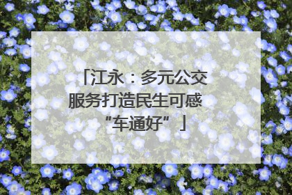 江永：多元公交服务打造民生可感“车通好”