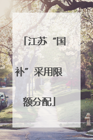 江苏“国补”采用限额分配
