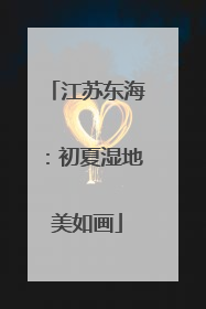 江苏东海：初夏湿地美如画