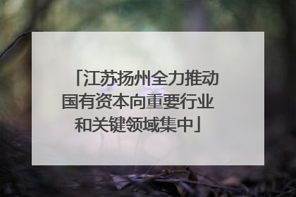江苏扬州全力推动国有资本向重要行业和关键领域集中