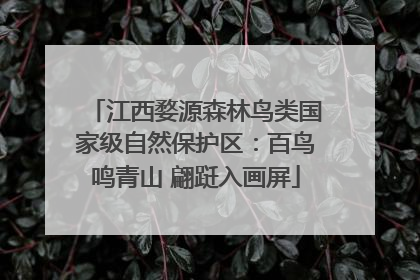 江西婺源森林鸟类国家级自然保护区：百鸟鸣青山 翩跹入画屏