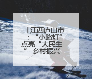 江西庐山市：“小路灯”点亮“大民生” 乡村振兴稳提速