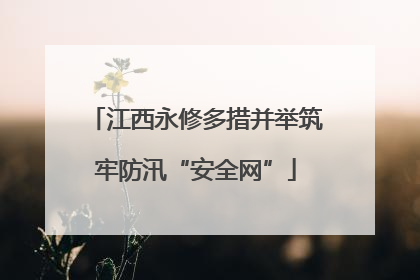 江西永修多措并举筑牢防汛“安全网”