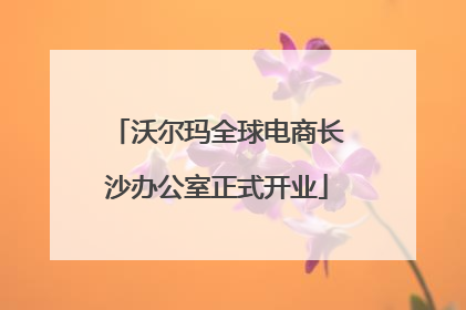沃尔玛全球电商长沙办公室正式开业