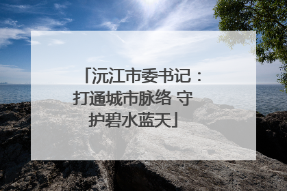 沅江市委书记：打通城市脉络 守护碧水蓝天