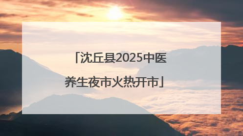 沈丘县2025中医养生夜市火热开市