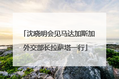 沈晓明会见马达加斯加外交部长拉萨塔一行
