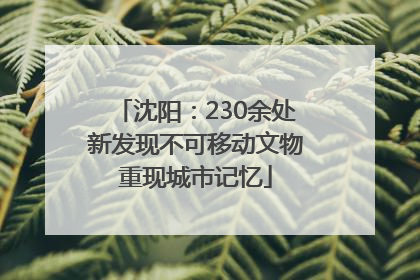 沈阳：230余处新发现不可移动文物重现城市记忆