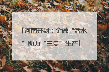 河南开封：金融“活水”助力“三夏”生产